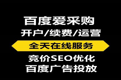 某公司网站sem托管项目纪实